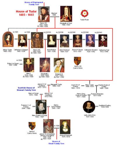 tudor dynasty lesson|henry the tudor dynasty.